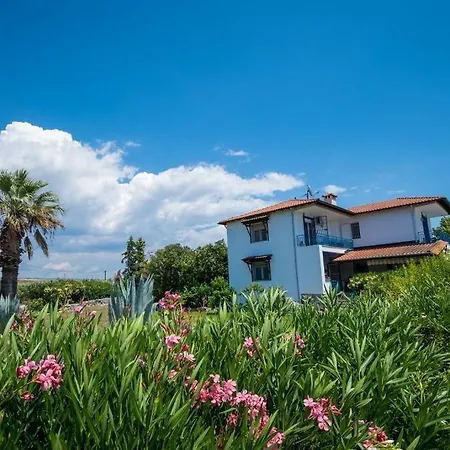 Big House With A Huge Garden And Barbecue Area! Holiday home