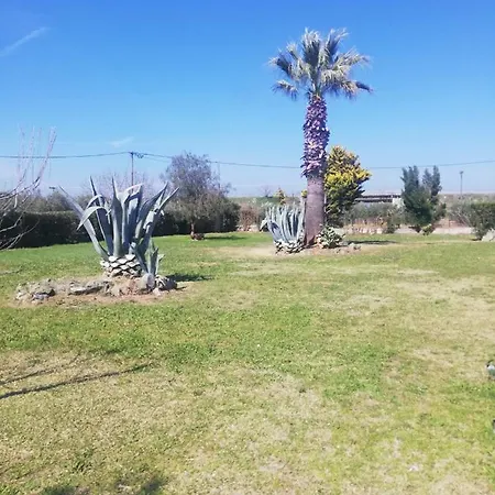 Big House With A Huge Garden And Barbecue Area! Holiday home