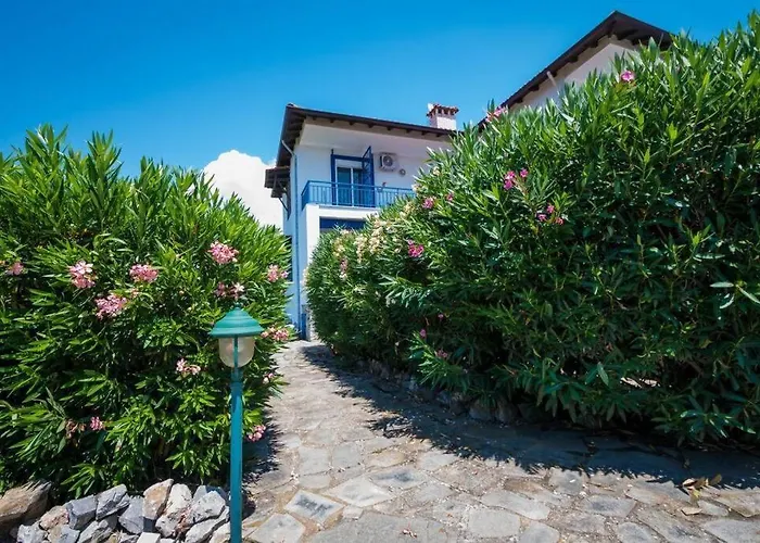 Big House With A Huge Garden And Barbecue Area! *