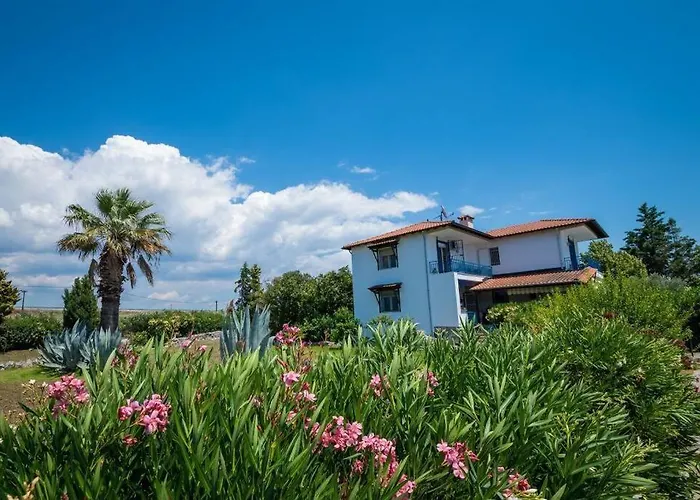 Big House With A Huge Garden And Barbecue Area! 度假居